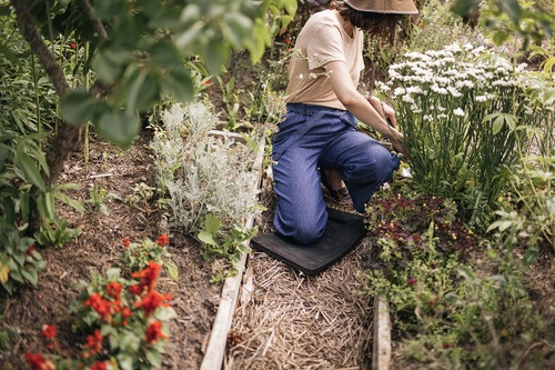 Nareszcie nadszedł czas zbiorów w ogrodzie - sprawdzamy narzędzia, które ułatwią nam prace w warzywniku